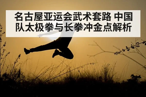 wushu changquan martial arts jump
